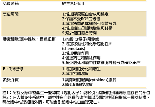 維生素C,鋅,預防感冒