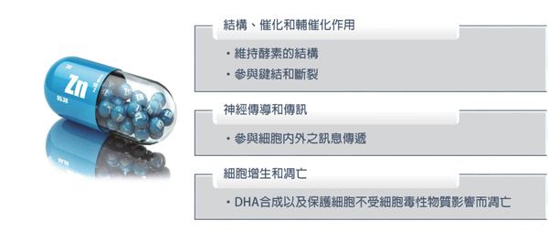 維生素C,鋅,預防感冒