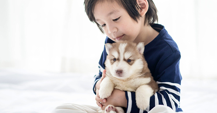 你知道家中毛小孩正屬於哪成長階段嗎 看牠這部位就知道 媽媽經 專屬於媽媽的網站