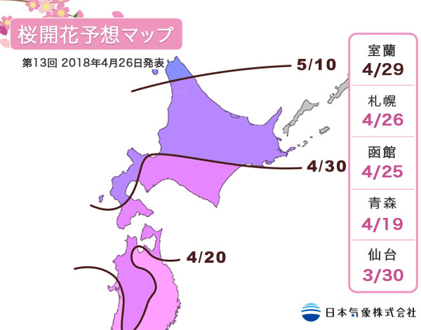日本,櫻花,賞櫻,富士山,關西,宮城,北海道
