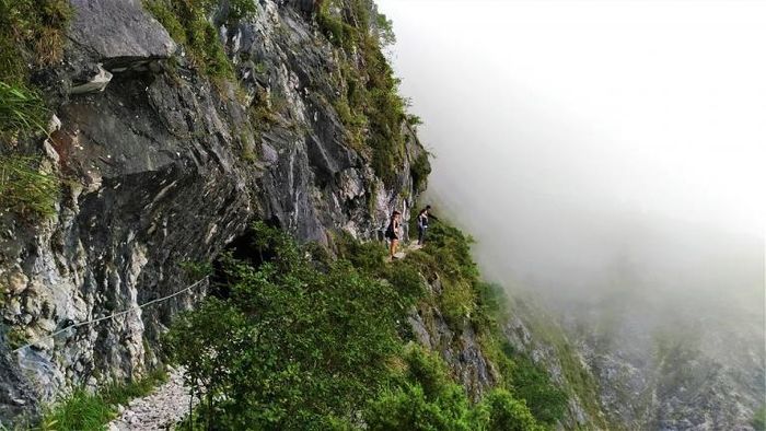 春節,旅遊,包車,景點,走春,北部,中部,南部,東部,己亥,金豬