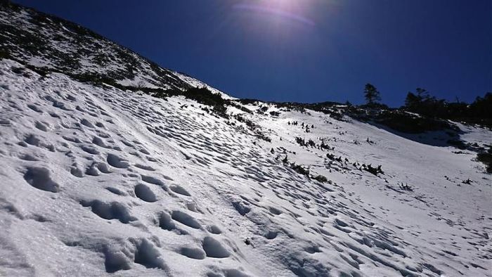 台灣,高山,雪季,雪景,登山路線,裝備,合歡山,雪山