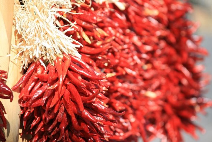 減肥,食品,減重,益生菌,科學證據,安全性,兒茶素,咖啡因,非洲芒果,覆盆子,仙人掌