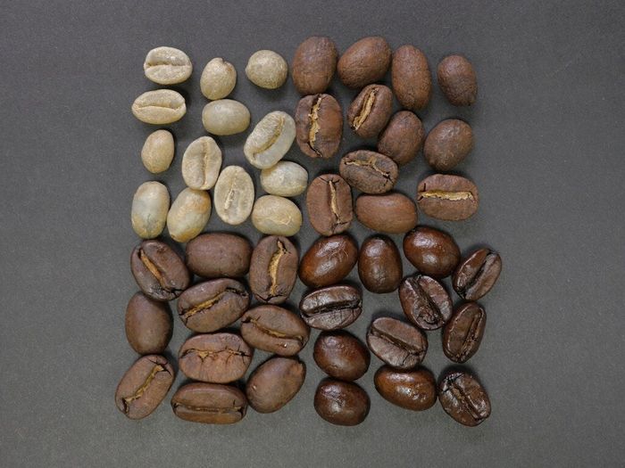 減肥,食品,減重,益生菌,科學證據,安全性,兒茶素,咖啡因,非洲芒果,覆盆子,仙人掌