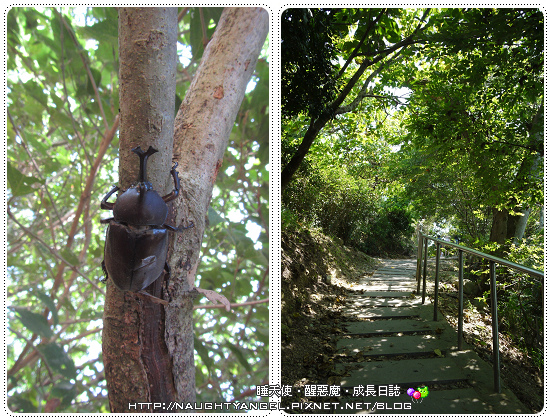 花蓮,景點,懶人包,美食,景點,住宿,普悠瑪