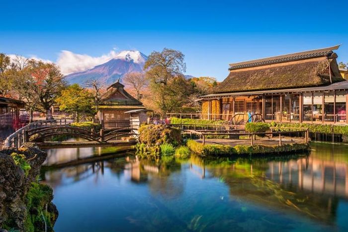 日本,富士山,櫻花,美食,豆櫻,染井吉野櫻