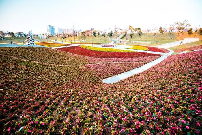 桃園,風禾公園,滾輪溜滑梯,溜滑梯