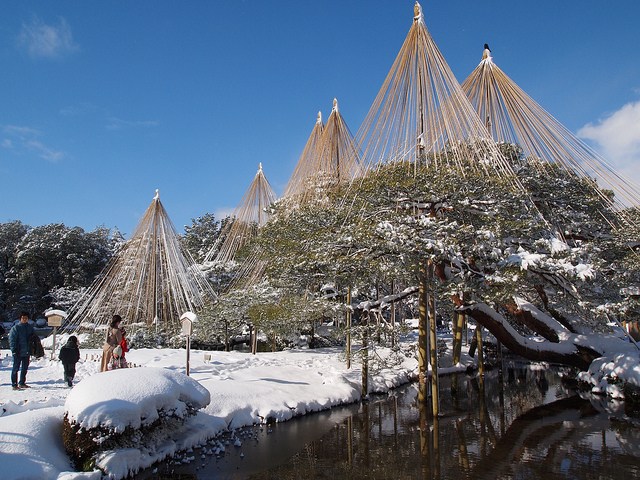 金澤雪吊