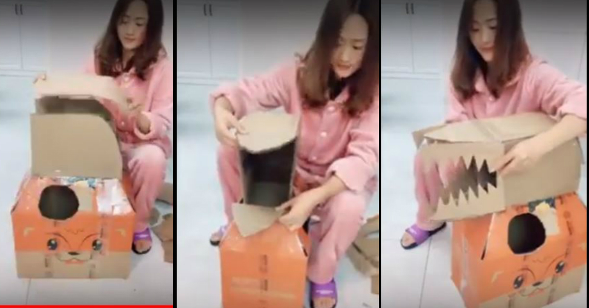 超可愛紙箱恐龍,簡單四步驟輕鬆完成!快一起試看看