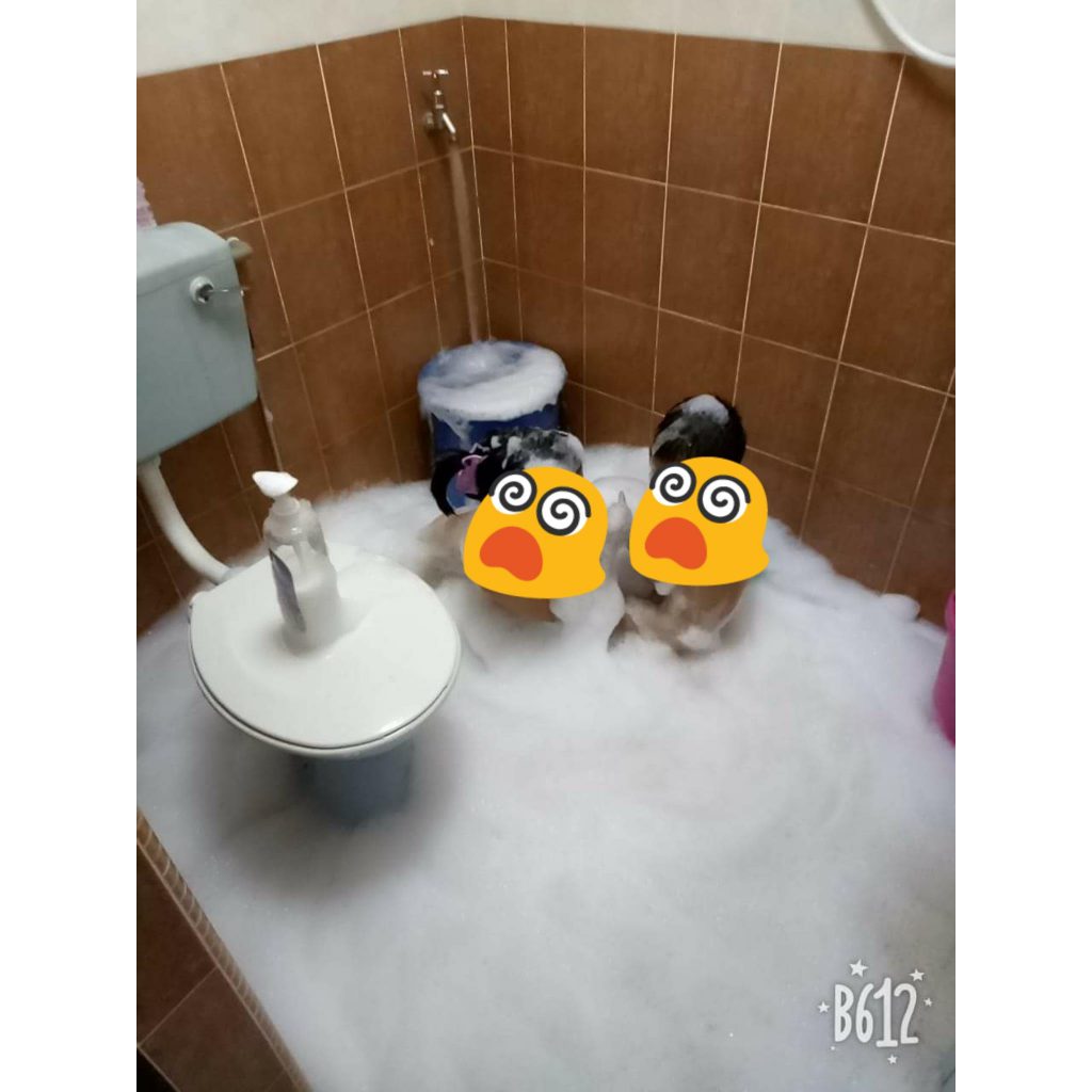 小孩安靜沒好事!媽媽們,你的理智線斷了嗎?
