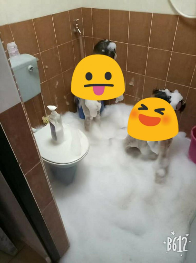 小孩安靜沒好事!媽媽們,你的理智線斷了嗎?