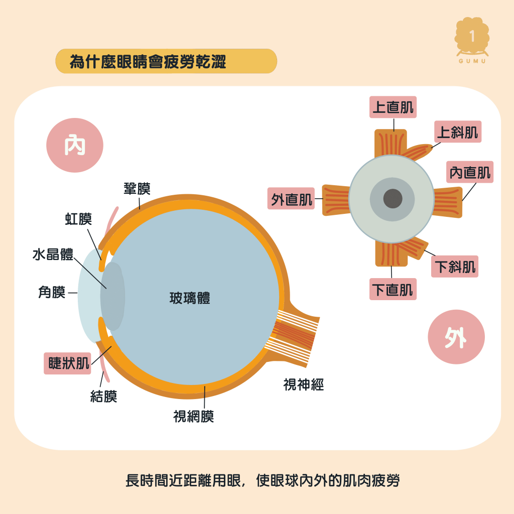 眼睛疲勞