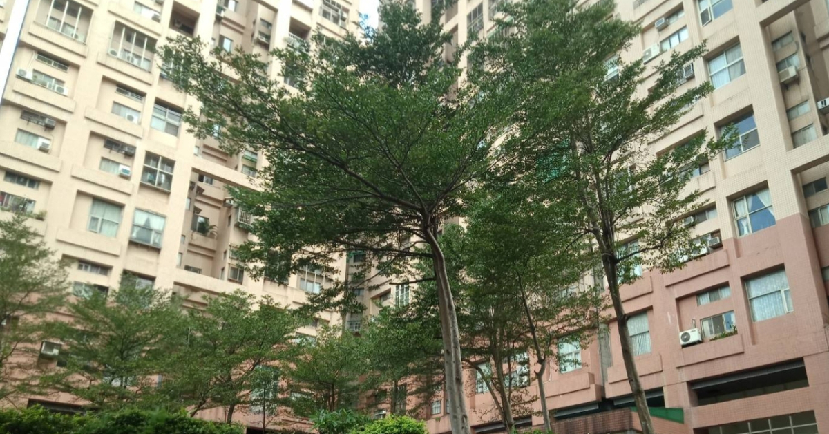 青少年自殺,自殺防治,大學生自殺