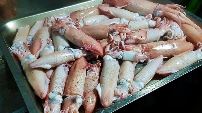 基隆海釣
