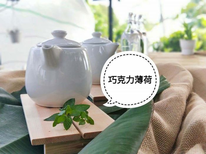 台東縱谷,熱氣球,景點推薦