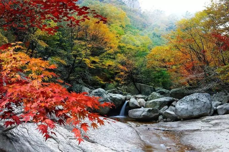 賞楓,韓國,台灣,紅葉,首爾,內藏山