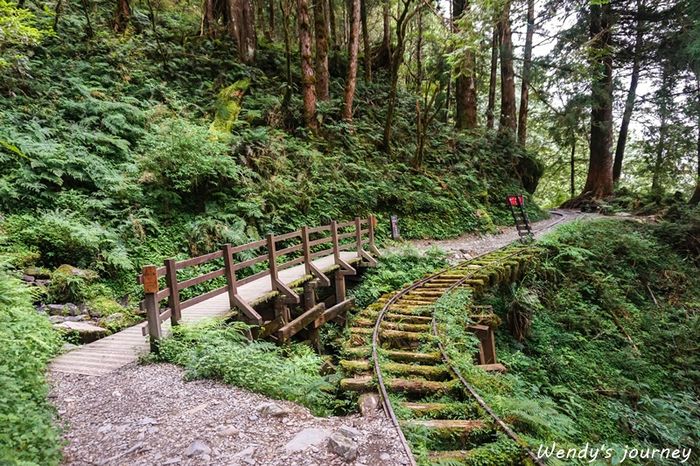 見晴懷古步道,翠峰湖,太平山一日遊,宜蘭景點,森林浴