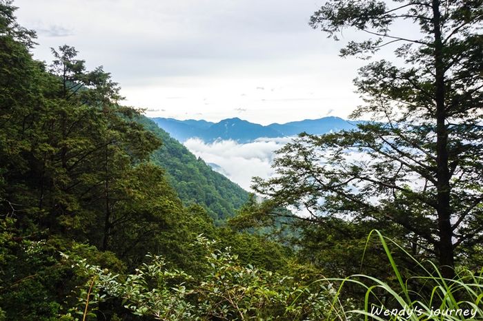 見晴懷古步道,翠峰湖,太平山一日遊,宜蘭景點,森林浴