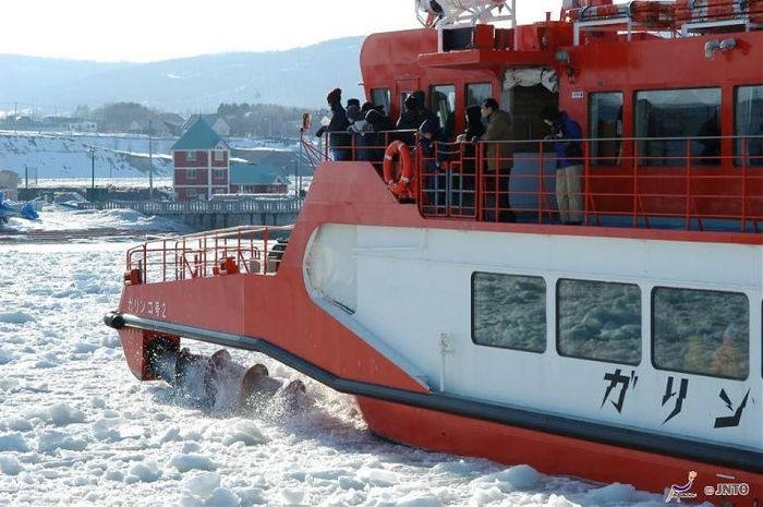 北海道,流冰,破冰船
