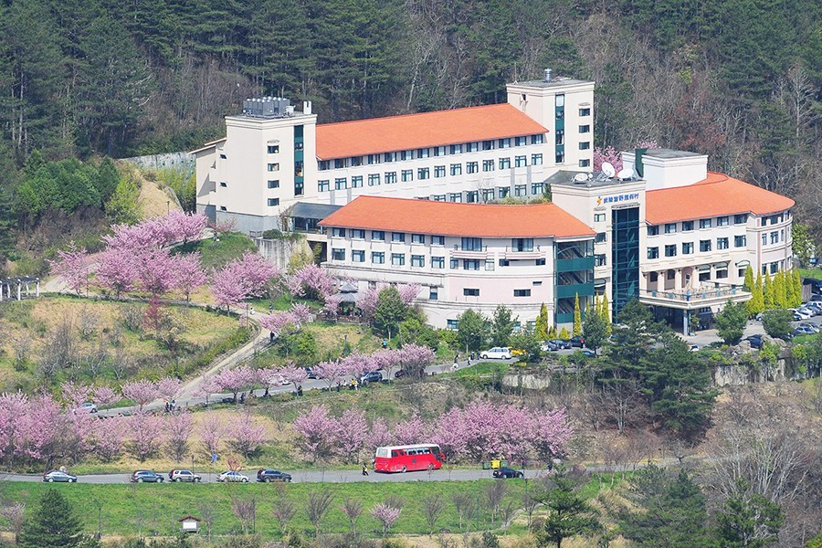 武陵農場,賞楓,懶人包