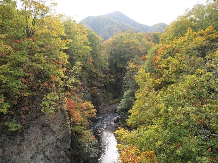 溫泉,泡湯,北海道