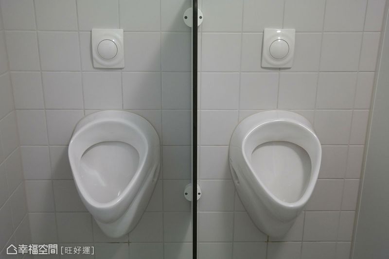 辦公室風水,職場,仙人掌