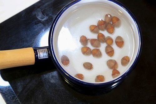 雞湯,廣東燦食譜,家常菜