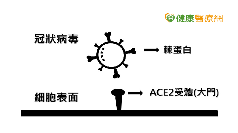 新冠病毒,武漢肺炎,新冠肺炎,Covid-19,飛沫感染,接觸感染