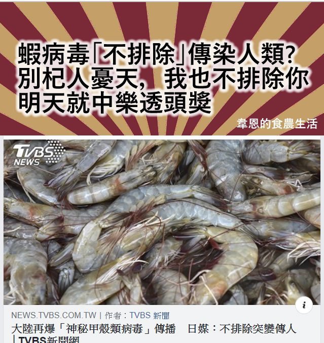 吃蝦,螃蟹,蝦子,病毒