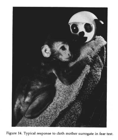 嬰兒哭鬧,哭泣,夜哭,半夜哭鬧,安撫,哭聲免疫法,寵壞,語言表達,歸屬感,生長激素分泌