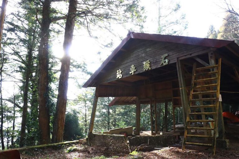 阿里山,阿里山旅遊,阿溪縱走,親子旅遊,嘉義景點,眠月線,水漾森林
