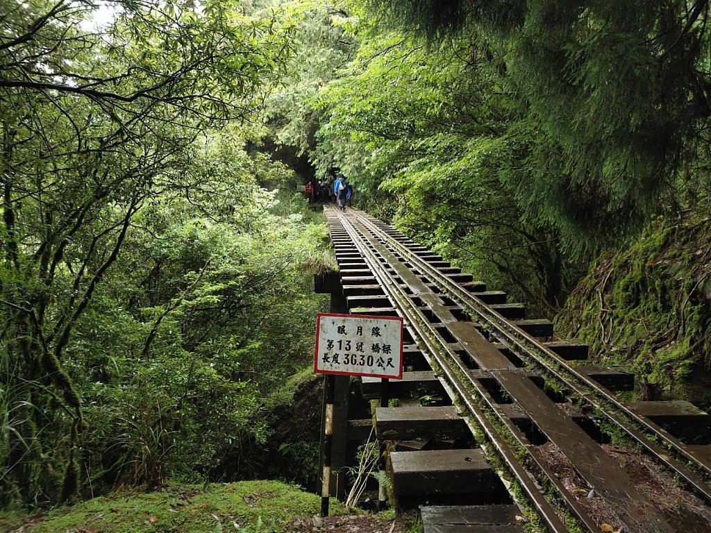 阿里山,阿里山旅遊,阿溪縱走,親子旅遊,嘉義景點,眠月線,水漾森林
