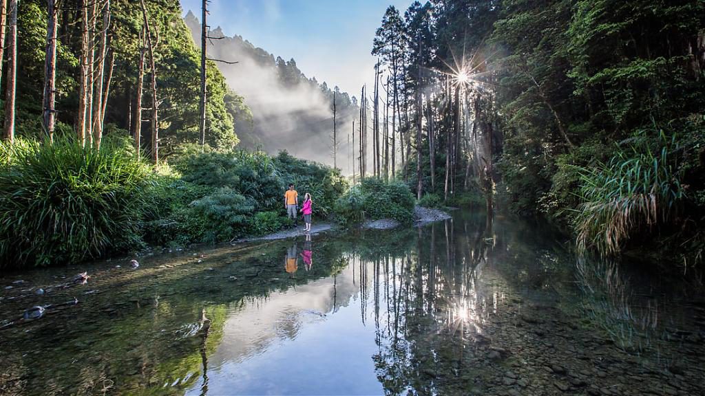阿里山,阿里山旅遊,阿溪縱走,親子旅遊,嘉義景點,眠月線,水漾森林