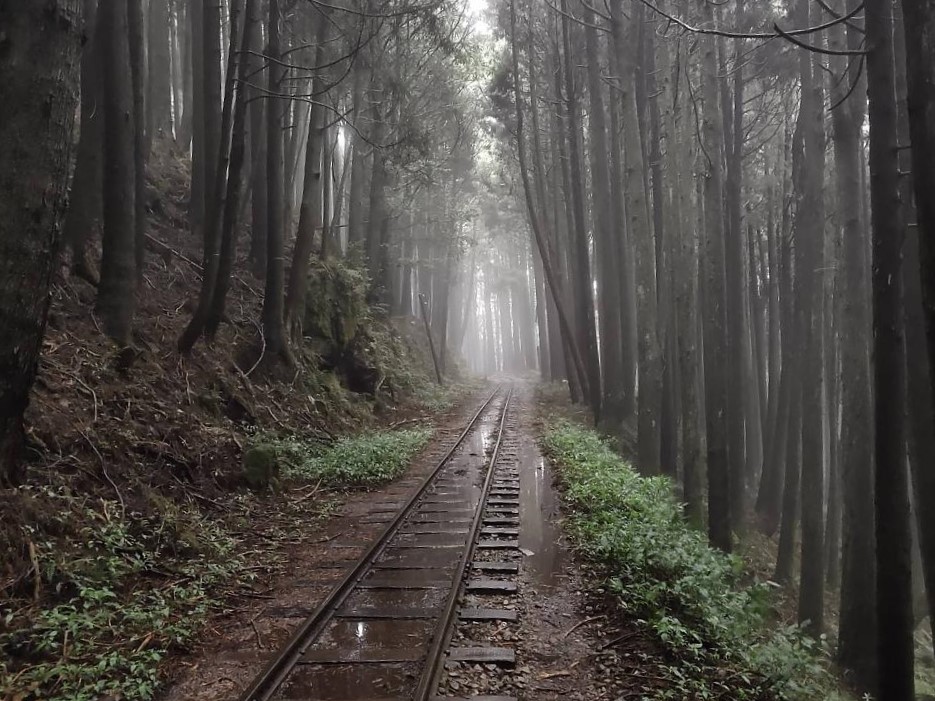 阿里山,阿里山旅遊,阿溪縱走,親子旅遊,嘉義景點,眠月線,水漾森林