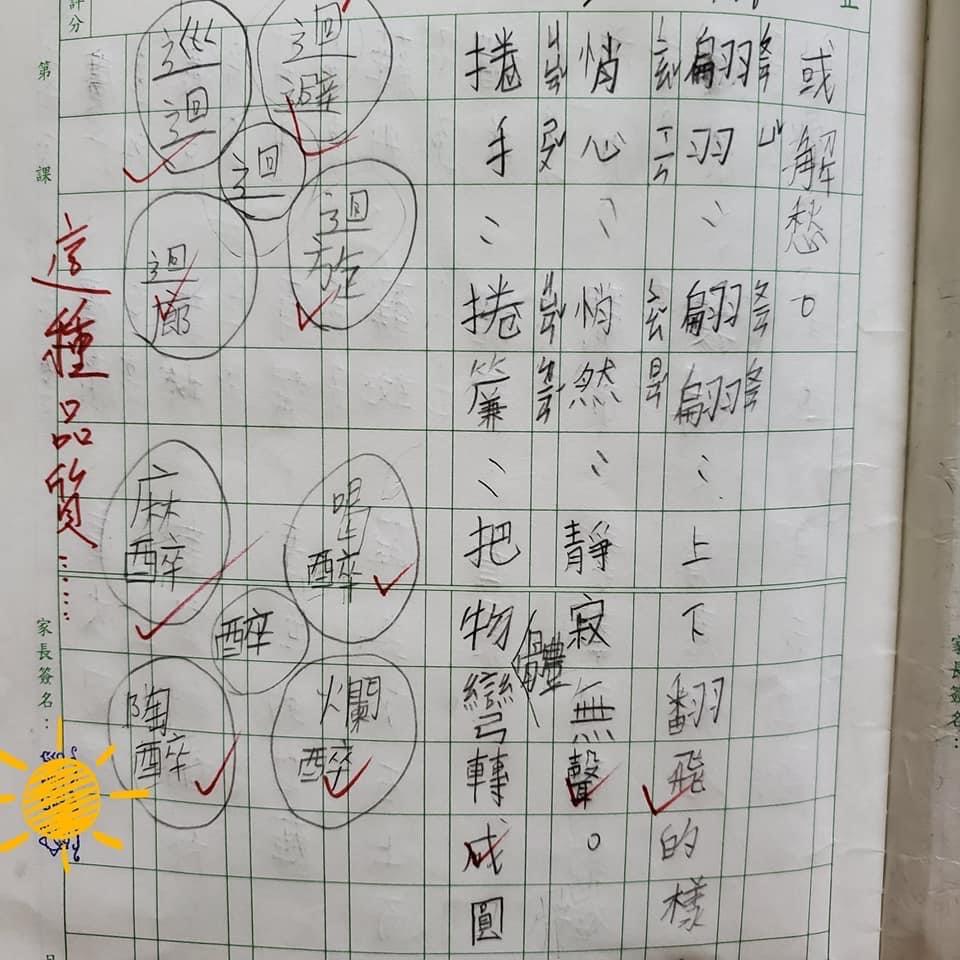 國際左撇子日,左撇子,右腦,IQ智商,藝術天份,右撇子,歐巴馬,矯正左撇子,老師評語,小孩 左撇子