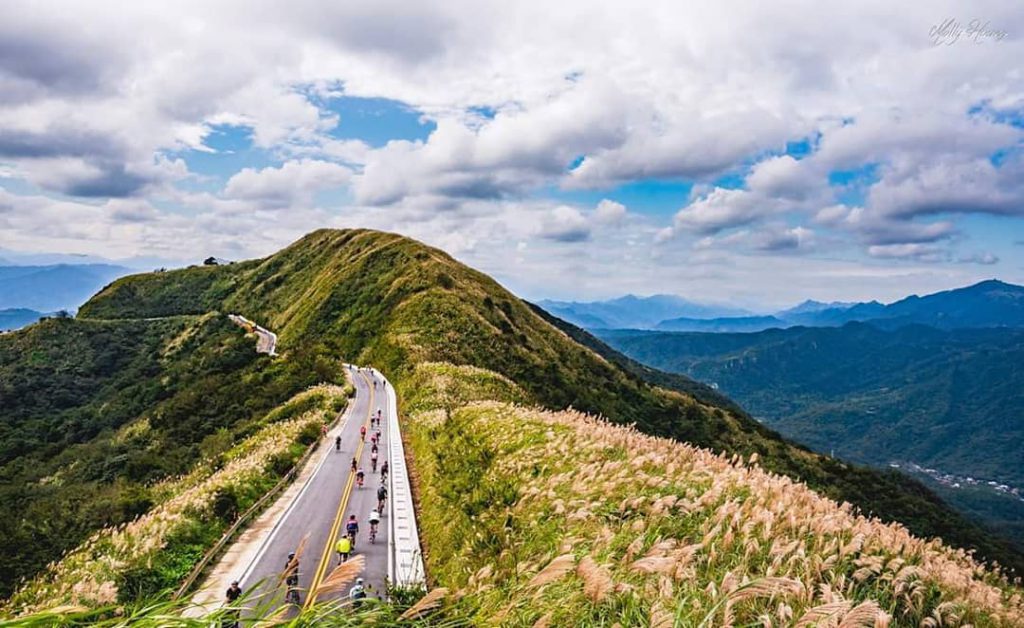 芒草季,台灣景點,親子旅遊,秋季旅遊,2020國內景點