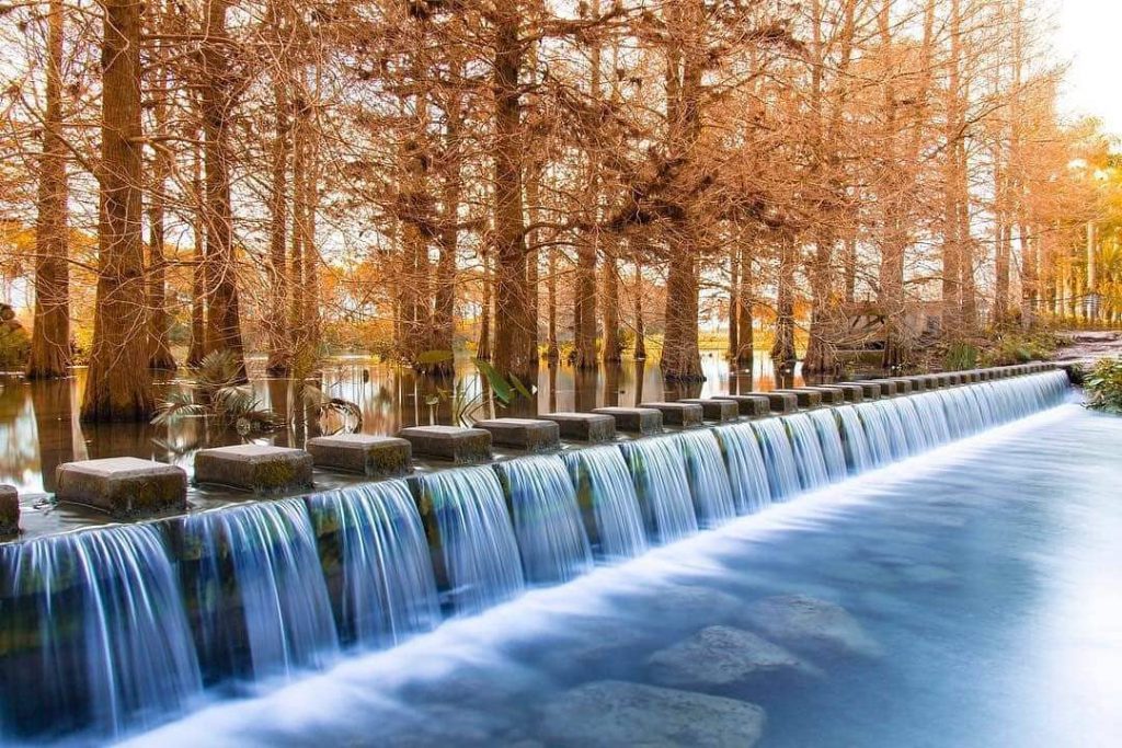 秋季旅遊,國內景點,2020國內旅遊,楓葉季,親子旅遊