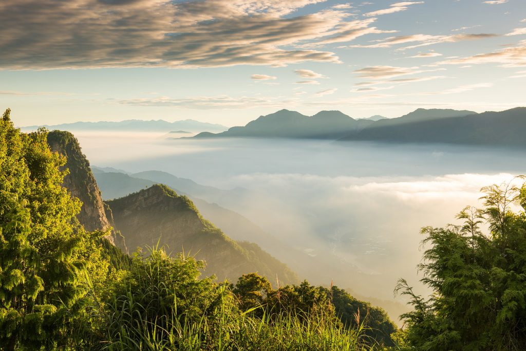 親子旅遊,台灣景點,國家森林公園,台灣森林公園,2020台灣景點,芬多精,遊玩,景點推薦,戶外景點,國內旅遊