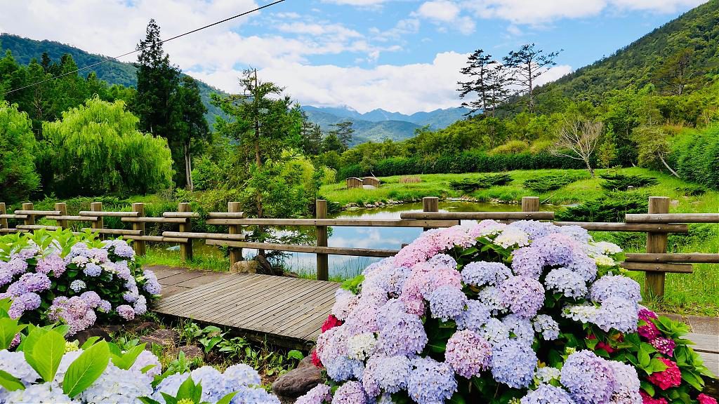 親子旅遊,台灣景點,國家森林公園,台灣森林公園,2020台灣景點,芬多精,遊玩,景點推薦,戶外景點,國內旅遊