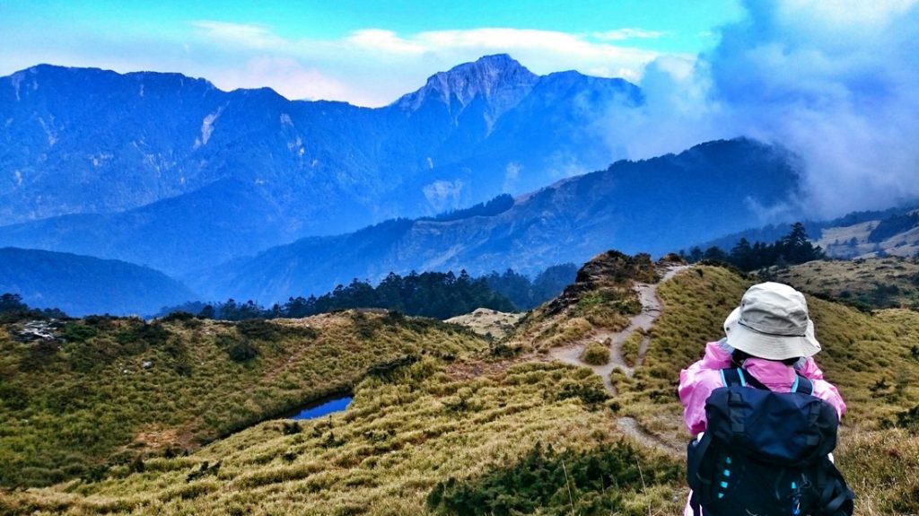 親子旅遊,台灣景點,國家森林公園,台灣森林公園,2020台灣景點,芬多精,遊玩,景點推薦,戶外景點,國內旅遊