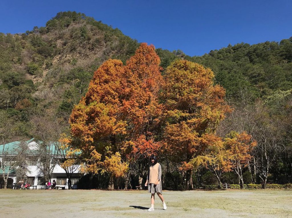 親子旅遊,台灣景點,國家森林公園,台灣森林公園,2020台灣景點,芬多精,遊玩,景點推薦,戶外景點,國內旅遊