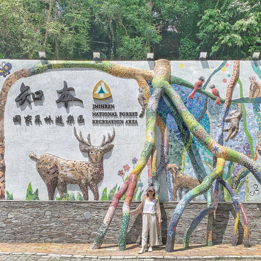 親子旅遊,台灣景點,國家森林公園,台灣森林公園,2020台灣景點,芬多精,遊玩,景點推薦,戶外景點,國內旅遊