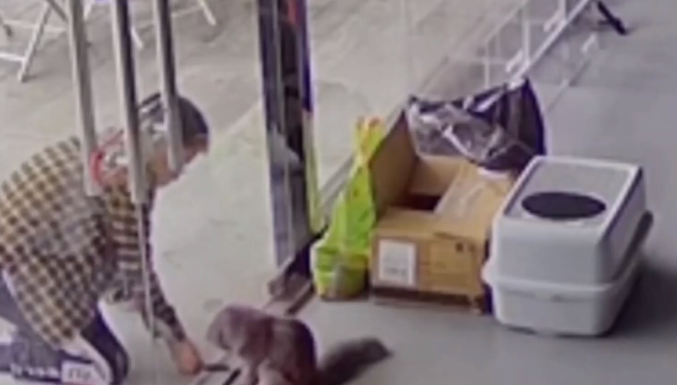 傷害動物,品行障礙,怪獸家長,生命教育,愛護動物,小孩 動物,家長過度保護