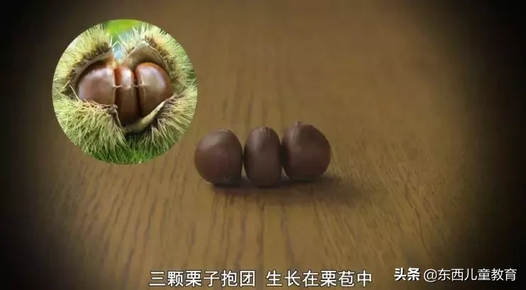 日本,益智,學習,親子,親子書單推薦,讓孩子變聰明,孩子 智商,聰明小孩
