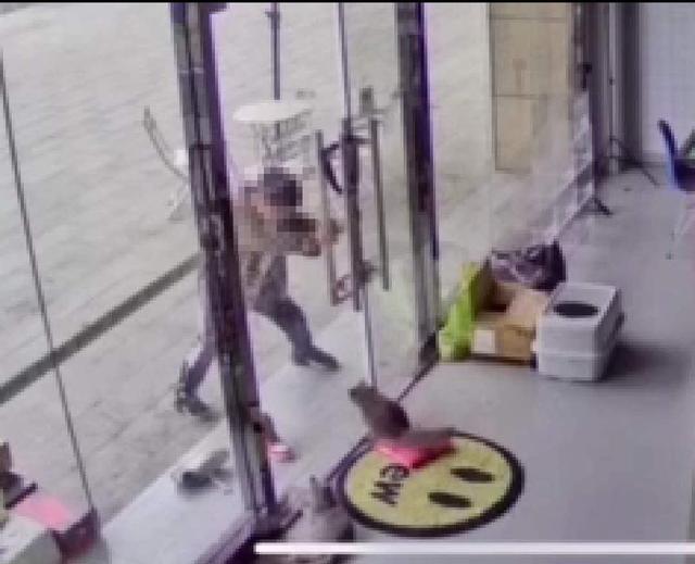 傷害動物,品行障礙,怪獸家長,生命教育,愛護動物,小孩 動物,家長過度保護