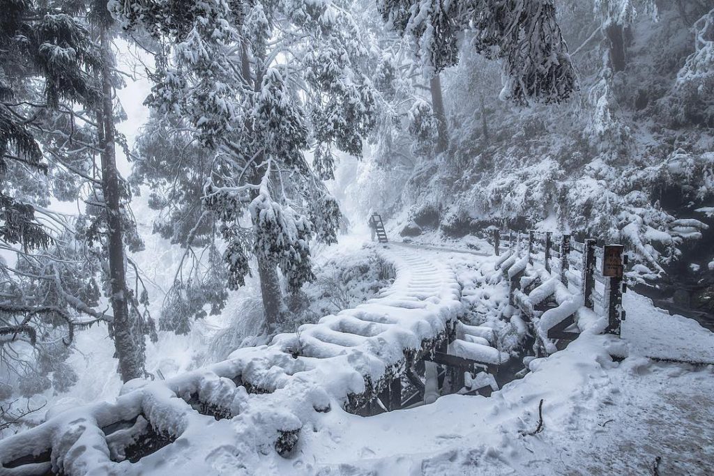 偽出國,偽出國旅遊,台灣景點,台灣旅遊,2021台灣旅遊,日本,日式,賞雪,櫻花,神社,火鍋,日出
