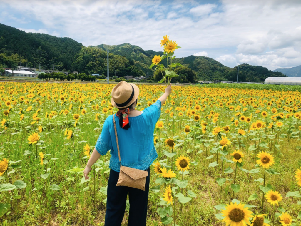 四季都美如畫 櫻花隧道 超壯觀 繡球花街道 高知縣四季賞花爛漫景點推薦 媽媽經 專屬於媽媽的網站