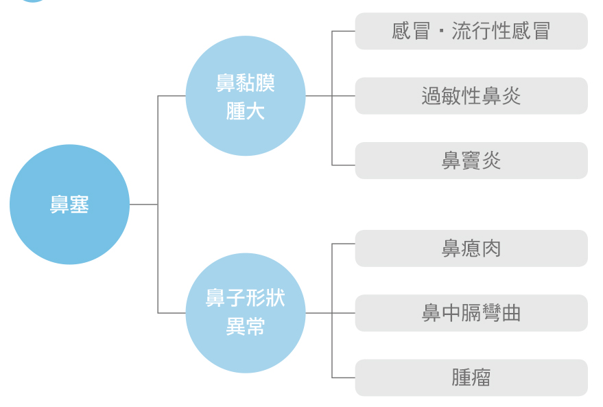 身體檢查,身體訊號,健康問題,内山明好,王淳蕙,蘋果屋出版社,鼻塞,鼻中膈,過敏性鼻炎,鼻竇炎,鼻瘜肉,鼻中膈彎曲