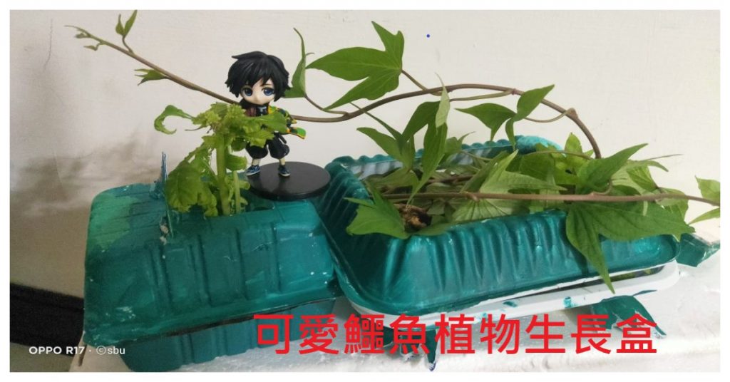 手做，豆腐盒腐盒